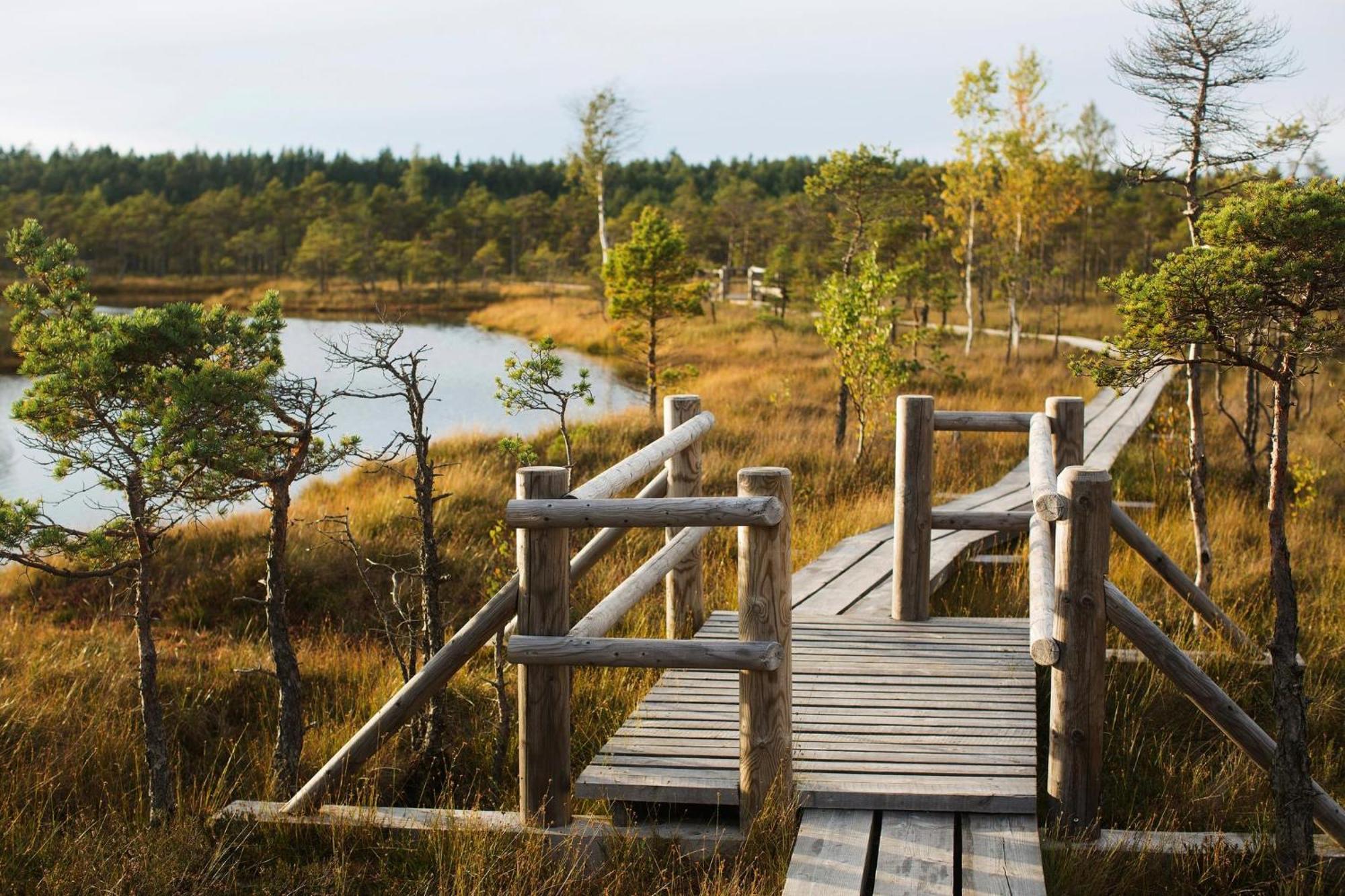 Apartment Near Baltic Sea 2 Jūrkalne エクステリア 写真